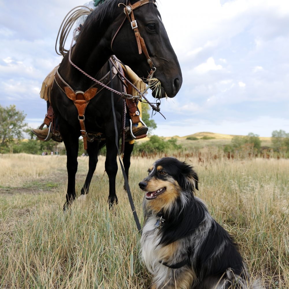 Welcome the Return of Fall with Festive Fun along the Front Range