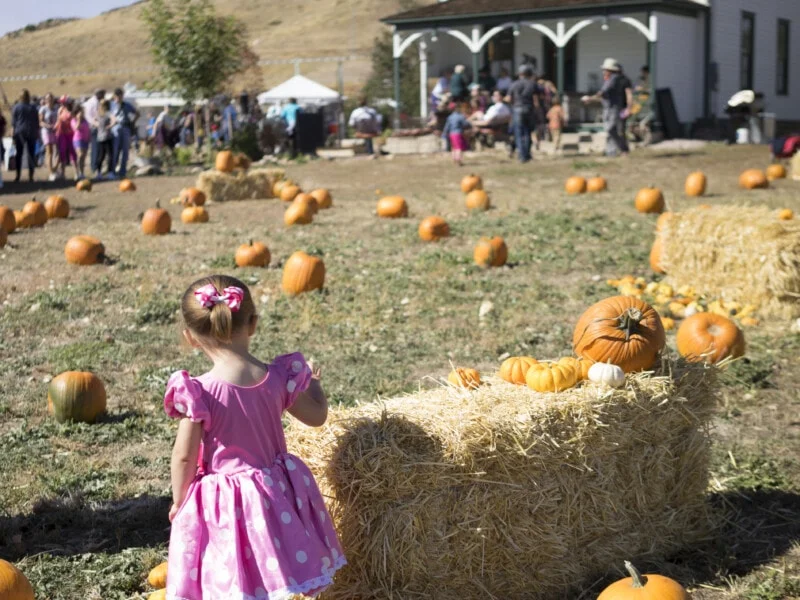 City of Lone Tree Fall Festival
